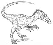 Dinosaurs Coloring pages. Select from 24661 printable Coloring pages of cartoons