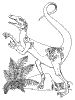 Dinosaurs and Extinct Animals Coloring Pages Info