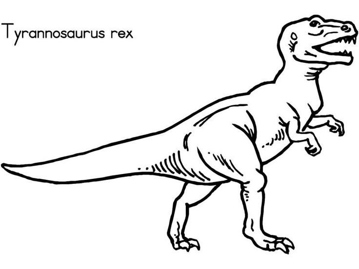 Coloring pages dinosaurs kids activities