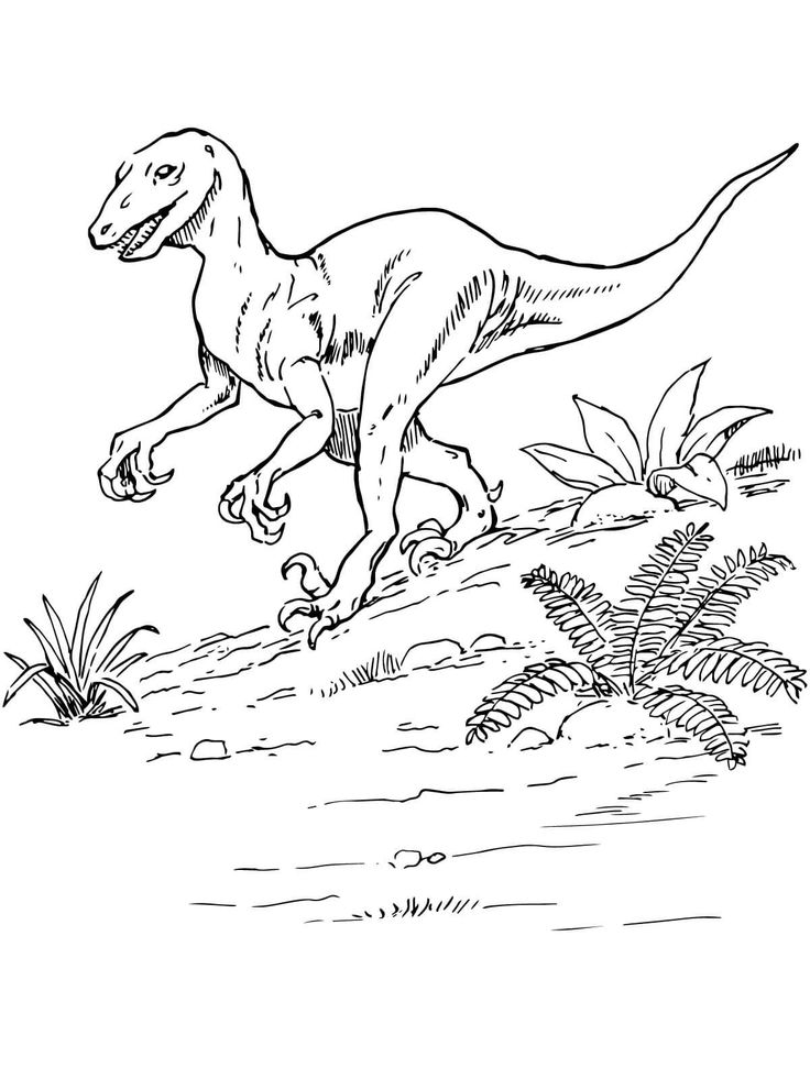 Dinosaurs Coloring Pages Top 25 free dinosaur coloring pages to print that your
