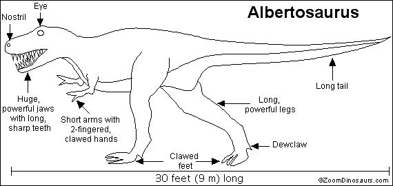 Fun name Albertosaurus. Click for similar free coloring pages about dinosaurs