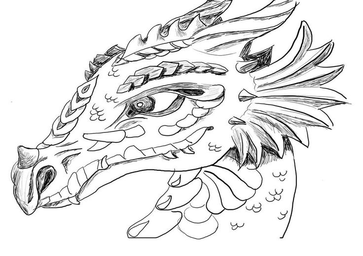 How to train your dragon coloring pages all dragon by warrior