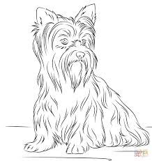 Image result for elderly cartoon coloring pages for adults