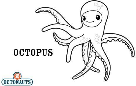 Octonauts Octopus
