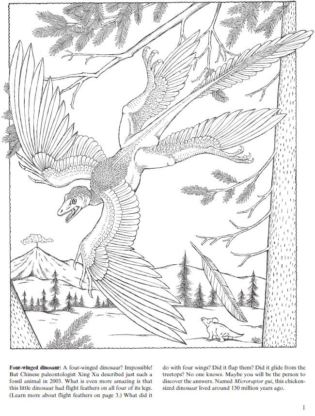 Welcome to Dover Publications Flying Dinosaurs Coloring Book