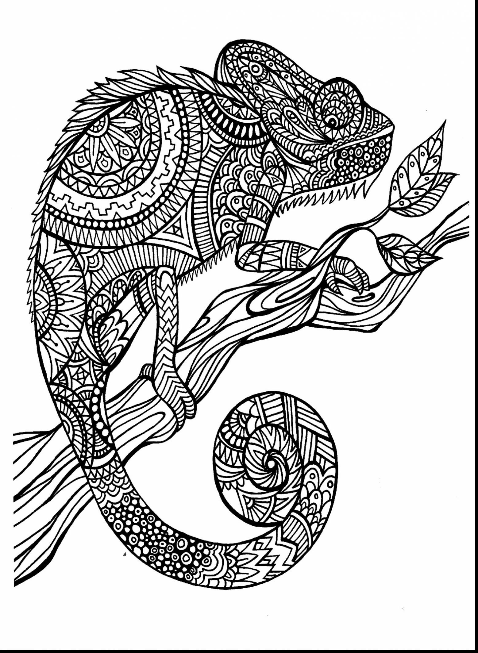 Adult Coloring Pages Animals 1