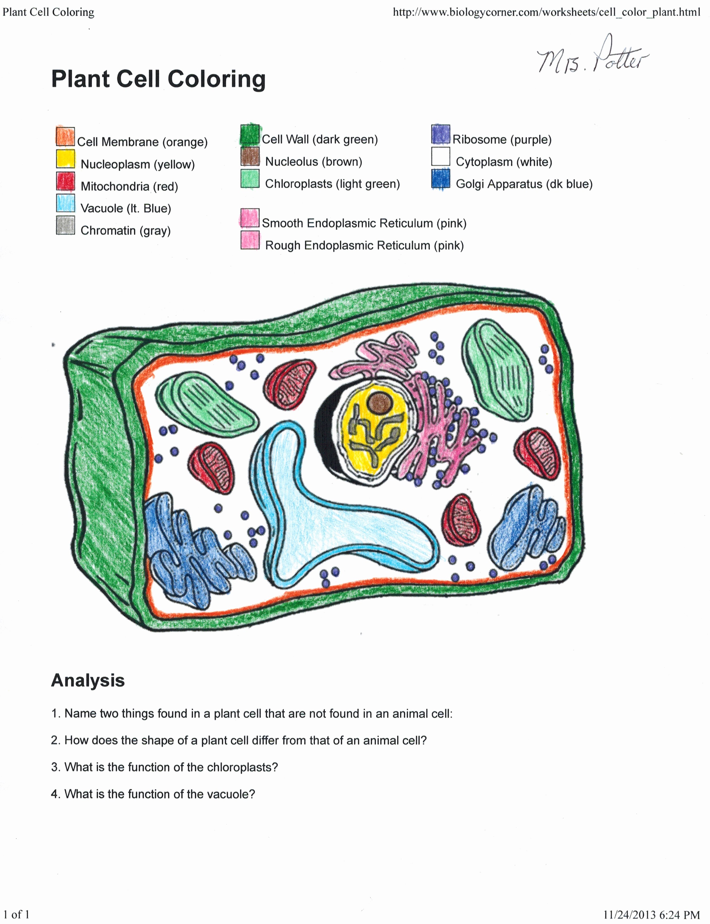 Animal Cell Coloring Sheet Beautiful Animal Cell And Labels Inspirational Life Science For 7th Grade