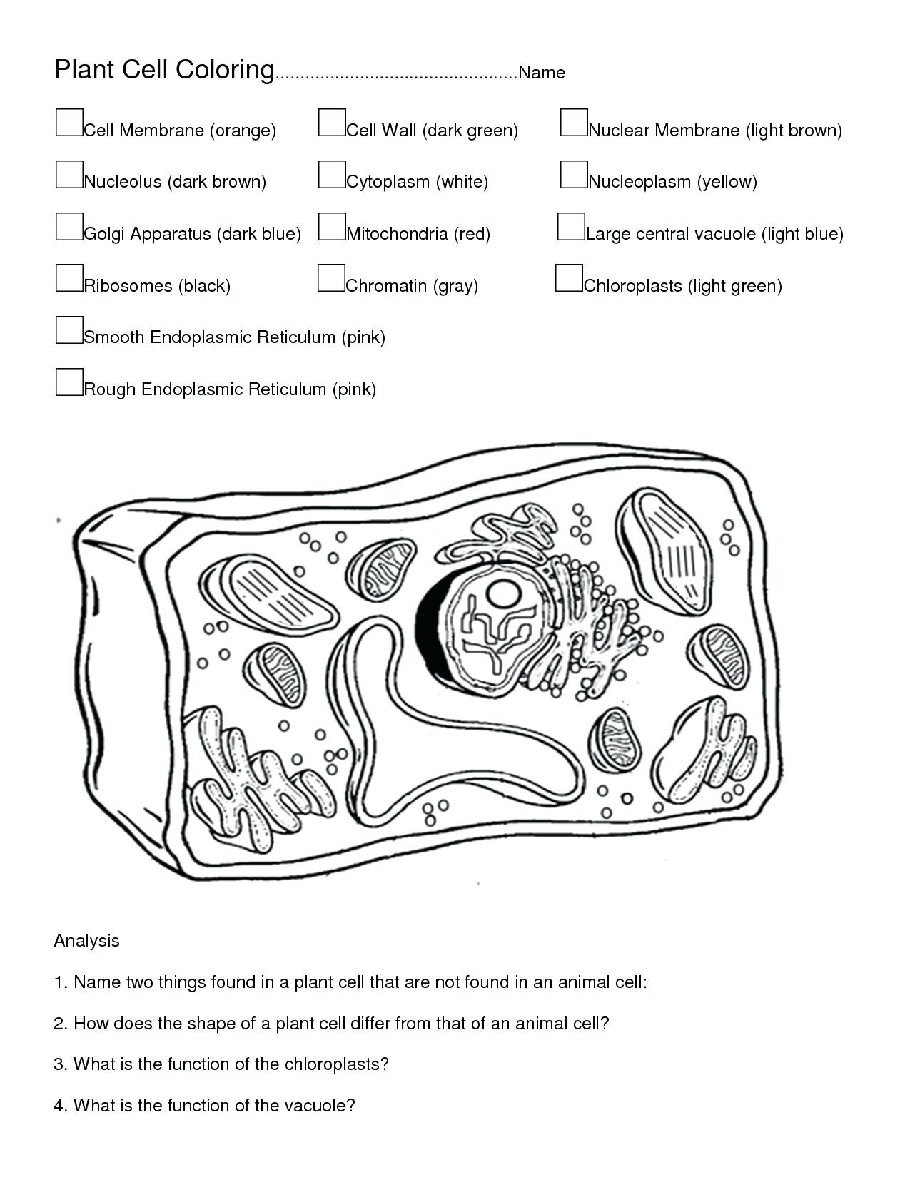 Stunning Design Plant And Animal Cell Coloring Worksheets