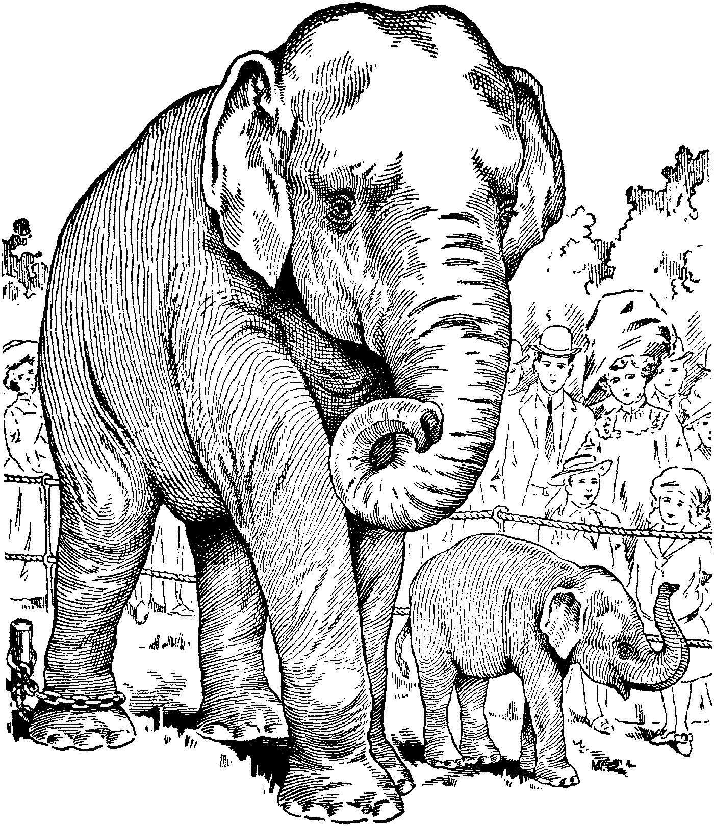 Elephant Coloring Pages Refrence Security asian Elephant Coloring Page Best 7679 Unknown