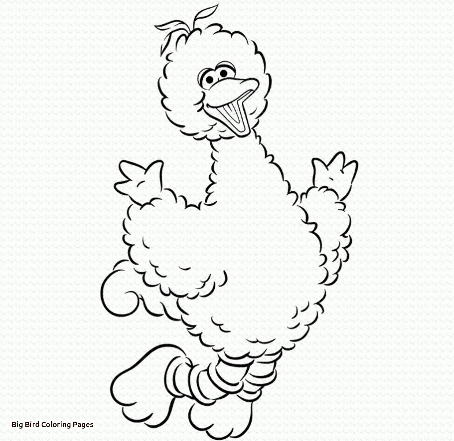 Big Bird Coloring Pages 2