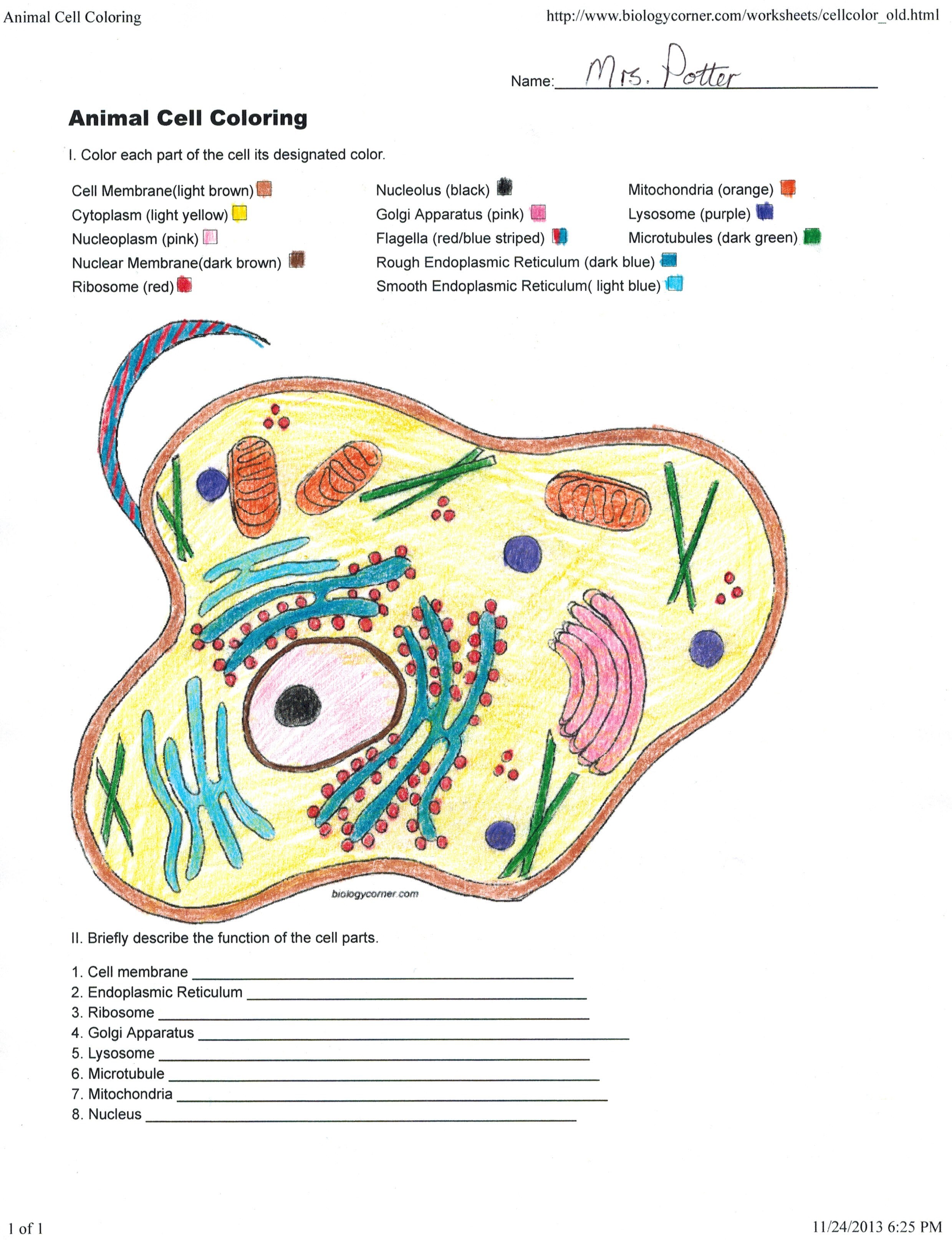Animal Cell Coloring Labeled Coloring Pages For Children