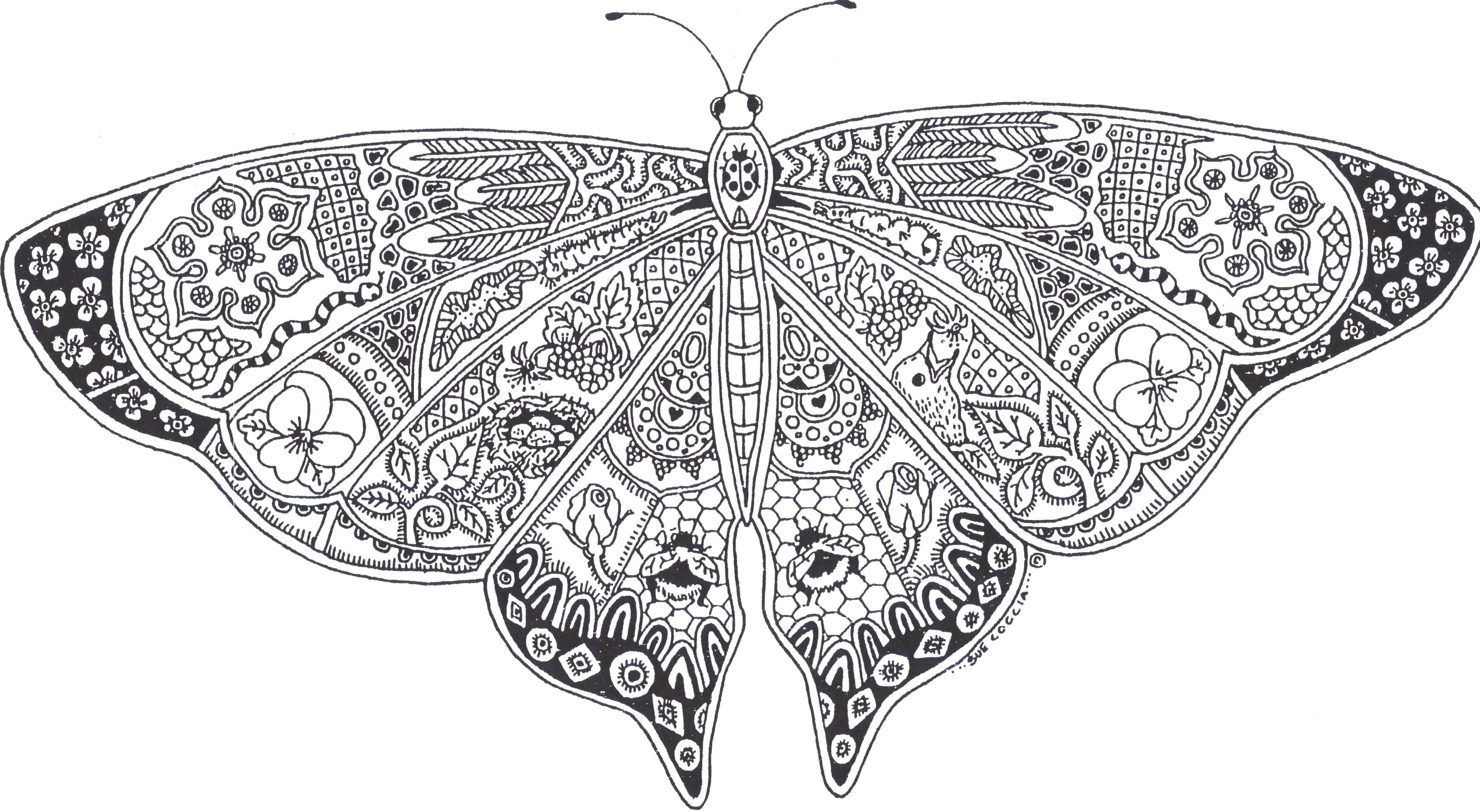 free coloring pages Butterfly Coloring Books Valid Printable Coloring Page Butterfly of Butterfly Printable
