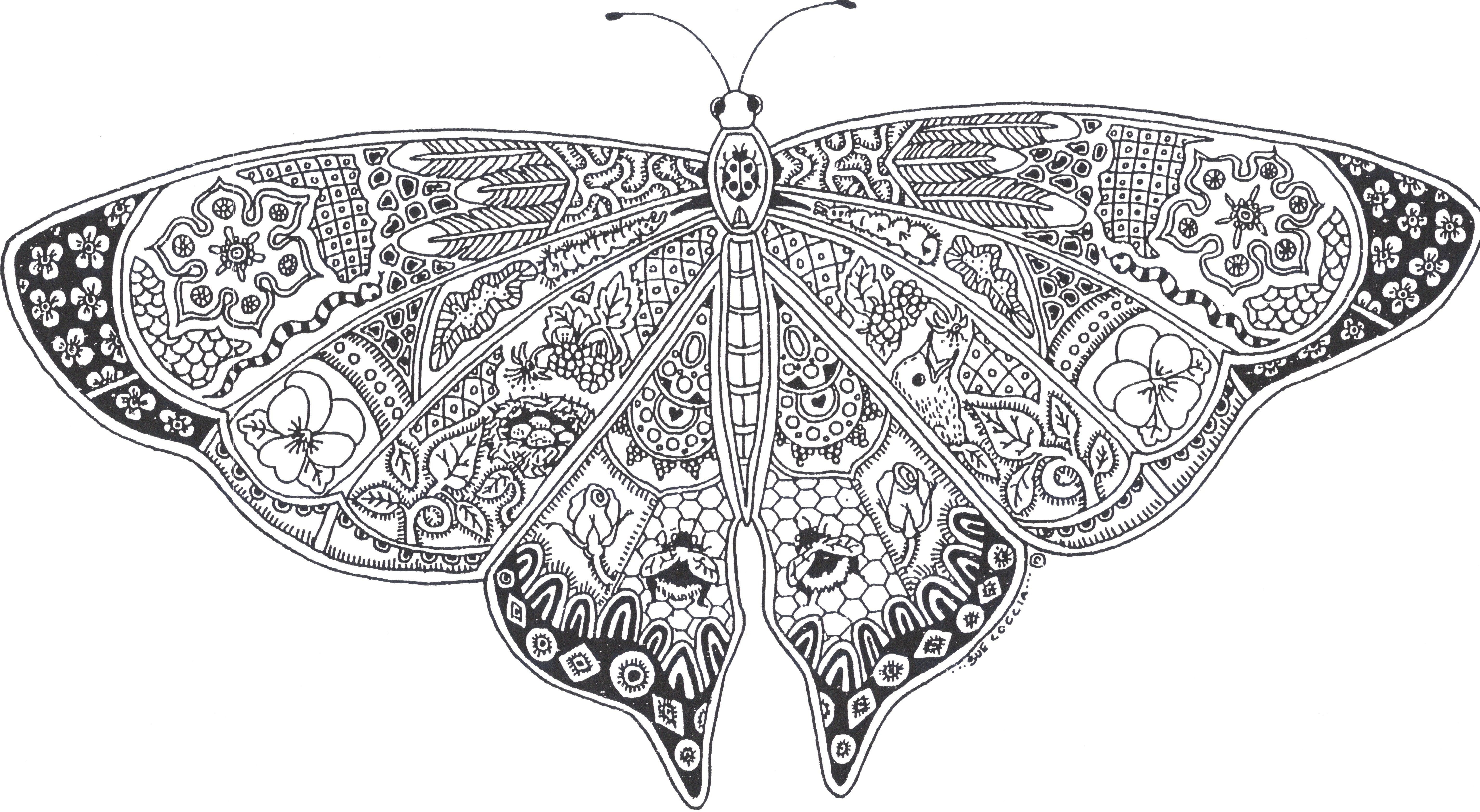 coloring pages of butterflies for adults ataque binado