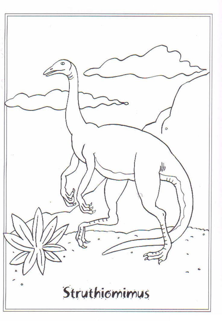 coloring page Dinosaurs 2 Struthiomimis