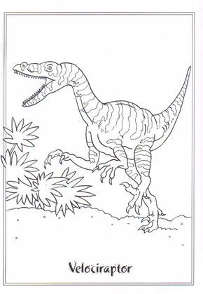 coloring page Dinosaurs 2 Velociraptor
