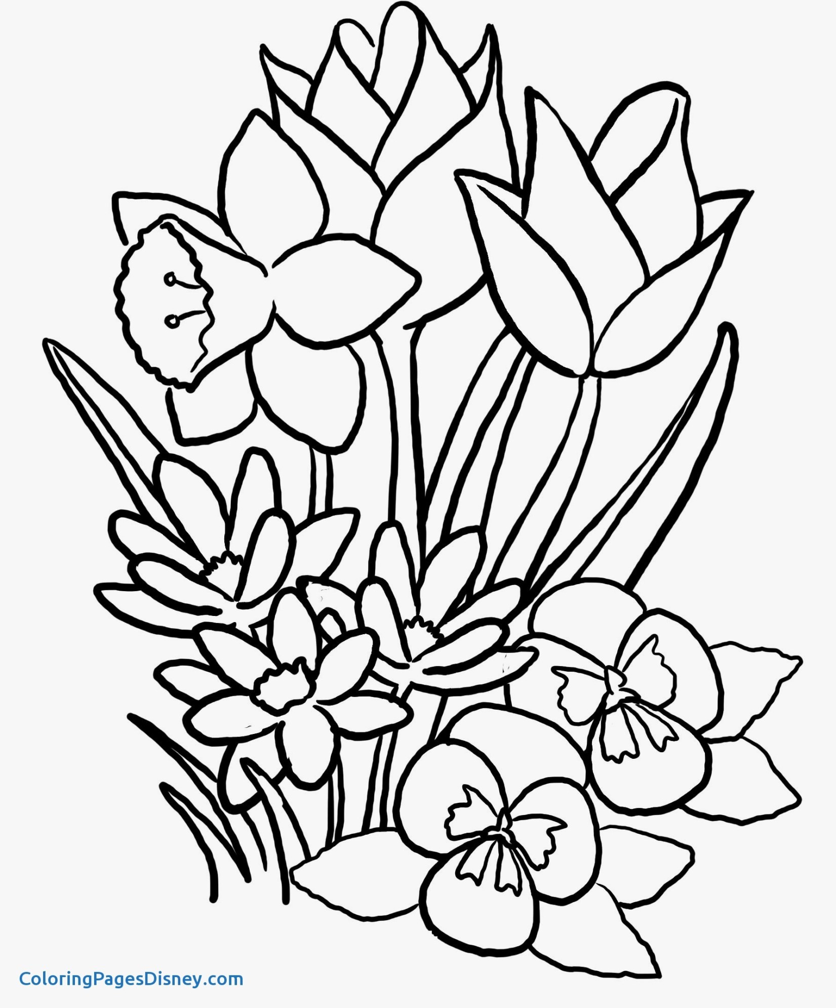 Coloring Pages Flowers and butterflies Luxury Coloring Pages butterflies New Cool Vases Flower Vase Coloring