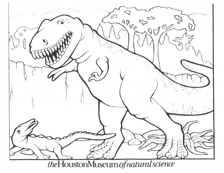 coloring pictures of dinosaurs for kids Free Printable Dinosaur Coloring Pages