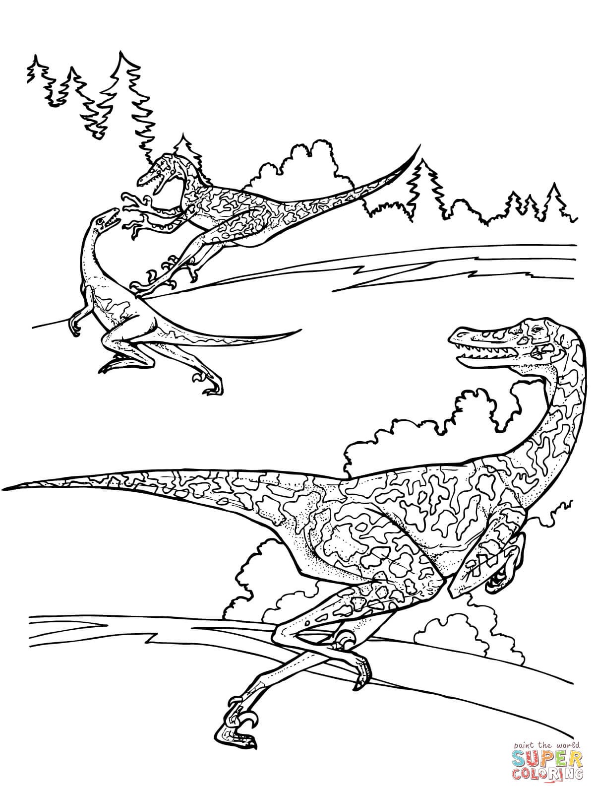 Velociraptor Dinosaur Coloring Pages Velociraptor Dinosaur Velociraptor Dinosaur