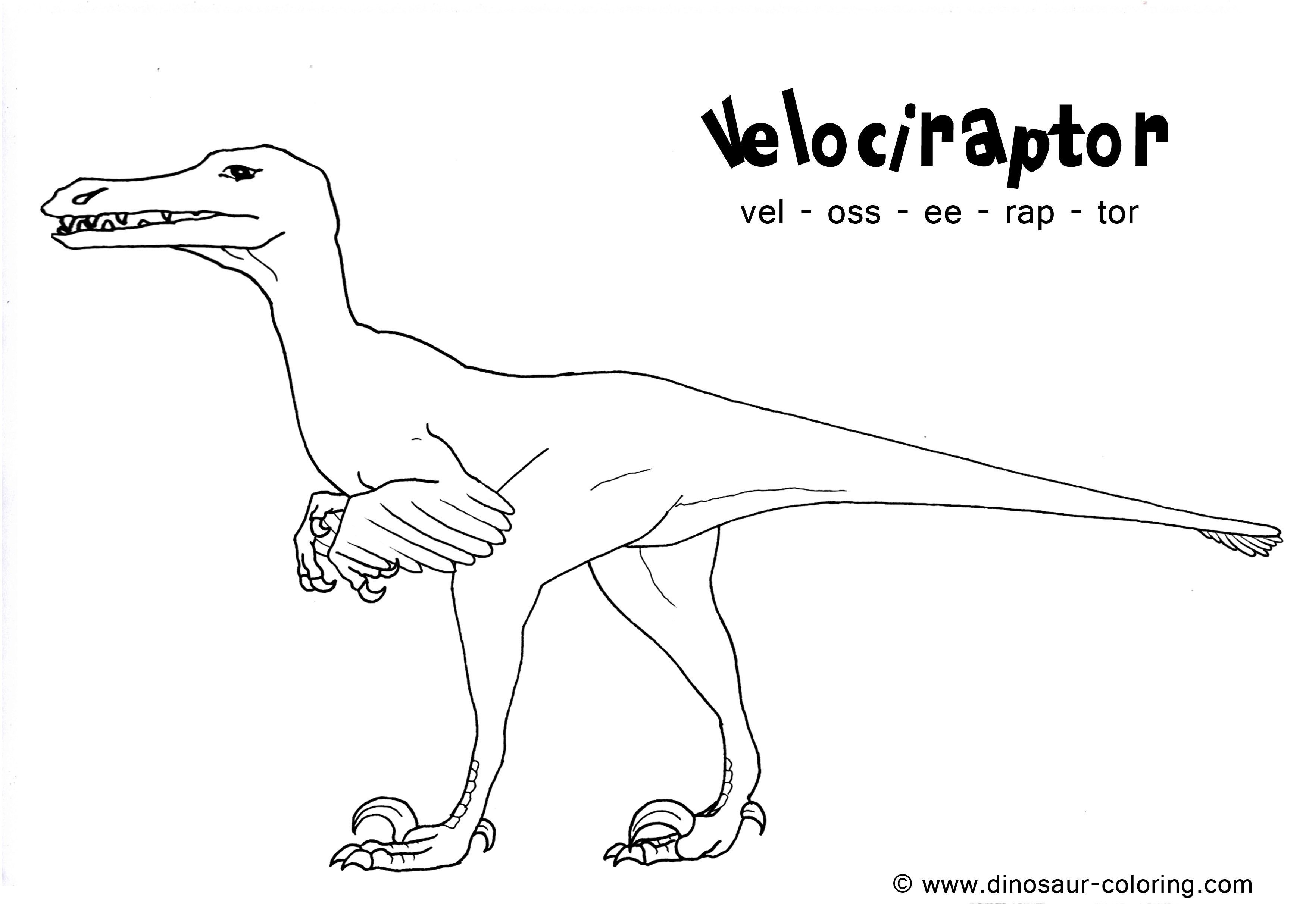 velociraptor coloring sheet dinosaur coloring page of velociraptor a carnivorous feathered dinosaur