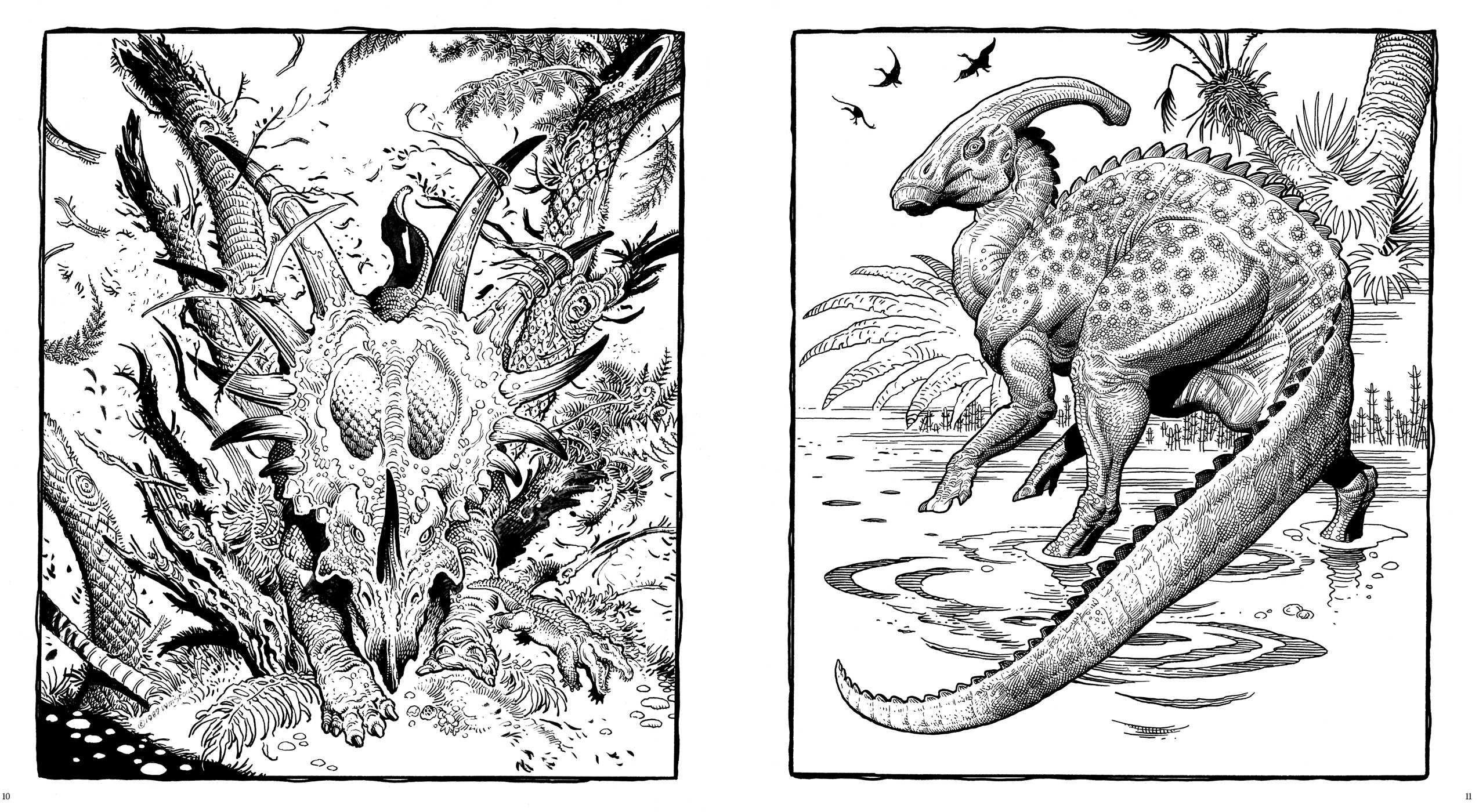 Dinasor Coloring Beautiful Dinosaurs A Coloring Book by William Stout 01