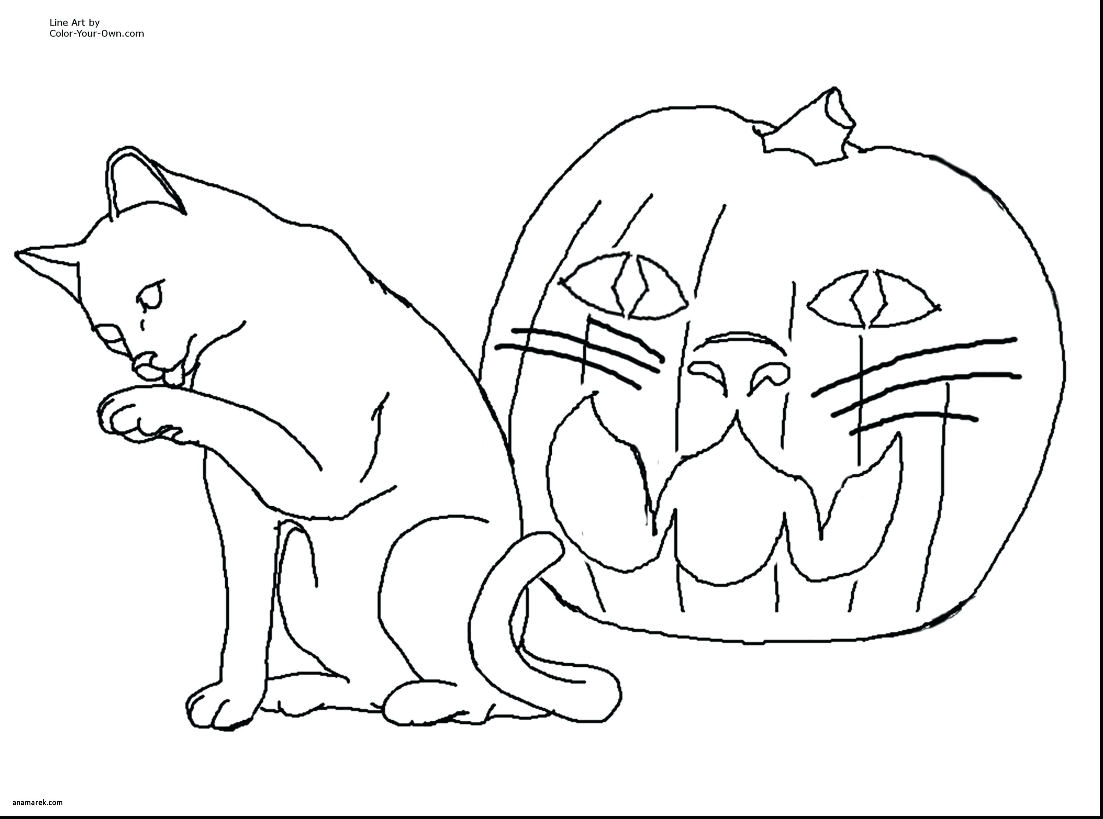 Dog and Cat Coloring Pages Lovely Dog and Cat Coloring Pages New Cool Od Dog Coloring