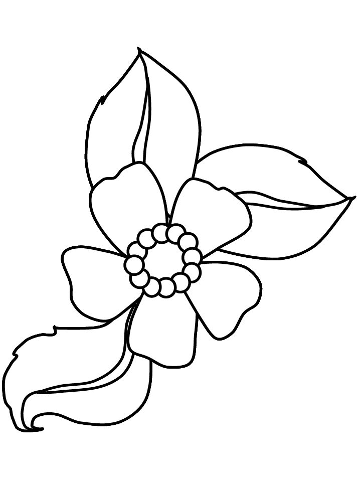 flowers coloring pages flower coloring pages download hq cartoon flower colori