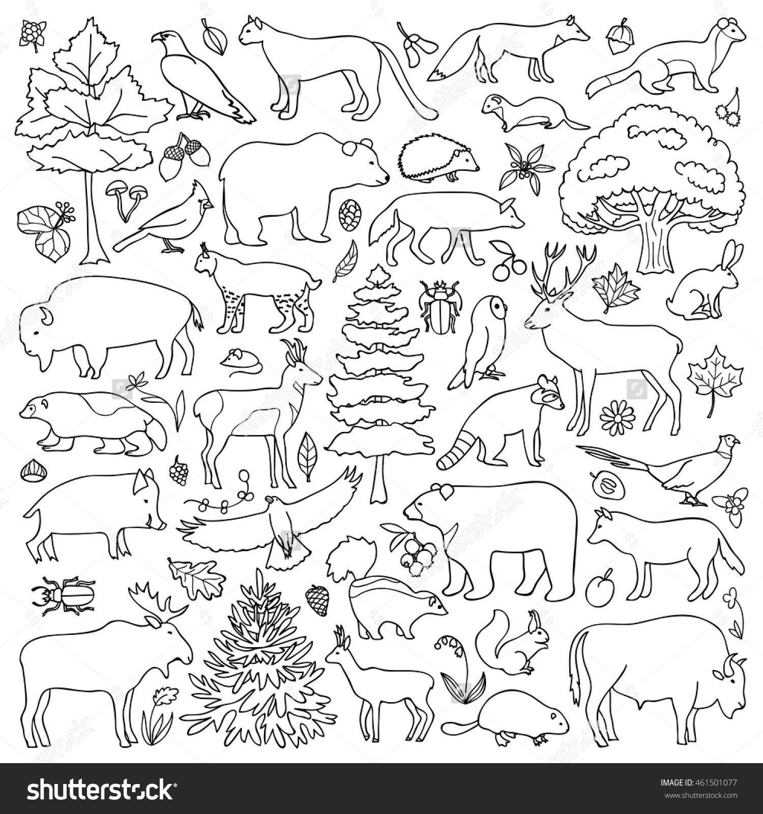 Wanted Forest Animal Coloring Pages Printable Inspiring For Preschoolers Styles