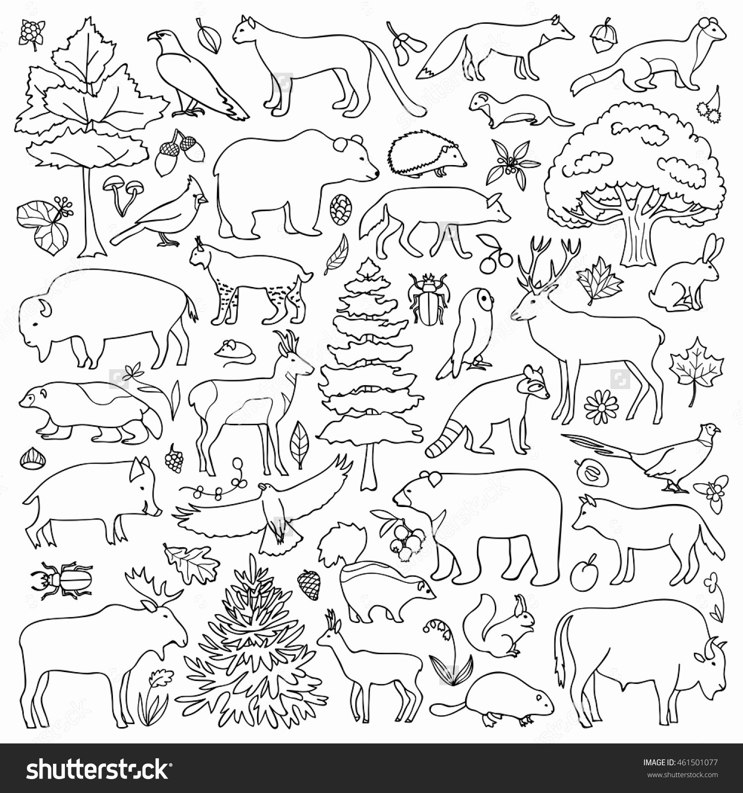 Animal Habitats Coloring Pages Awesome forest Animals Coloring Pages