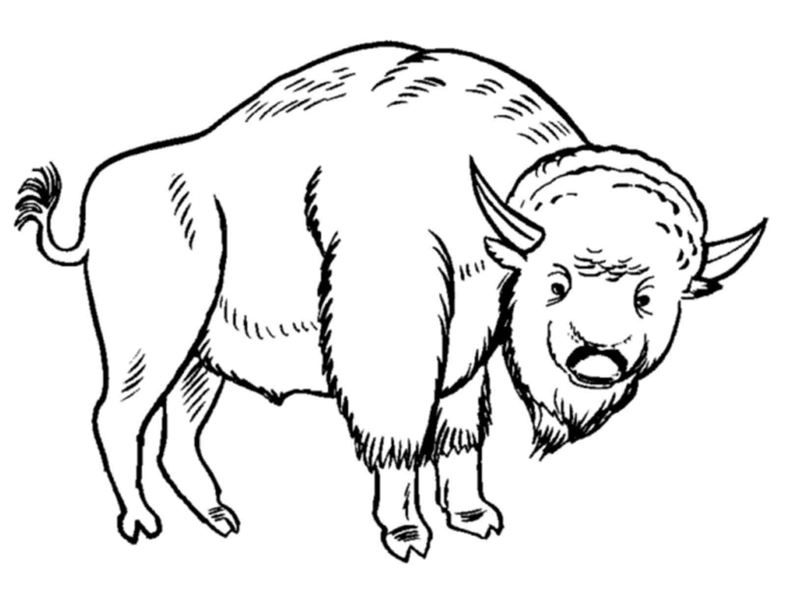 Grassland Animals Coloring Pages 18