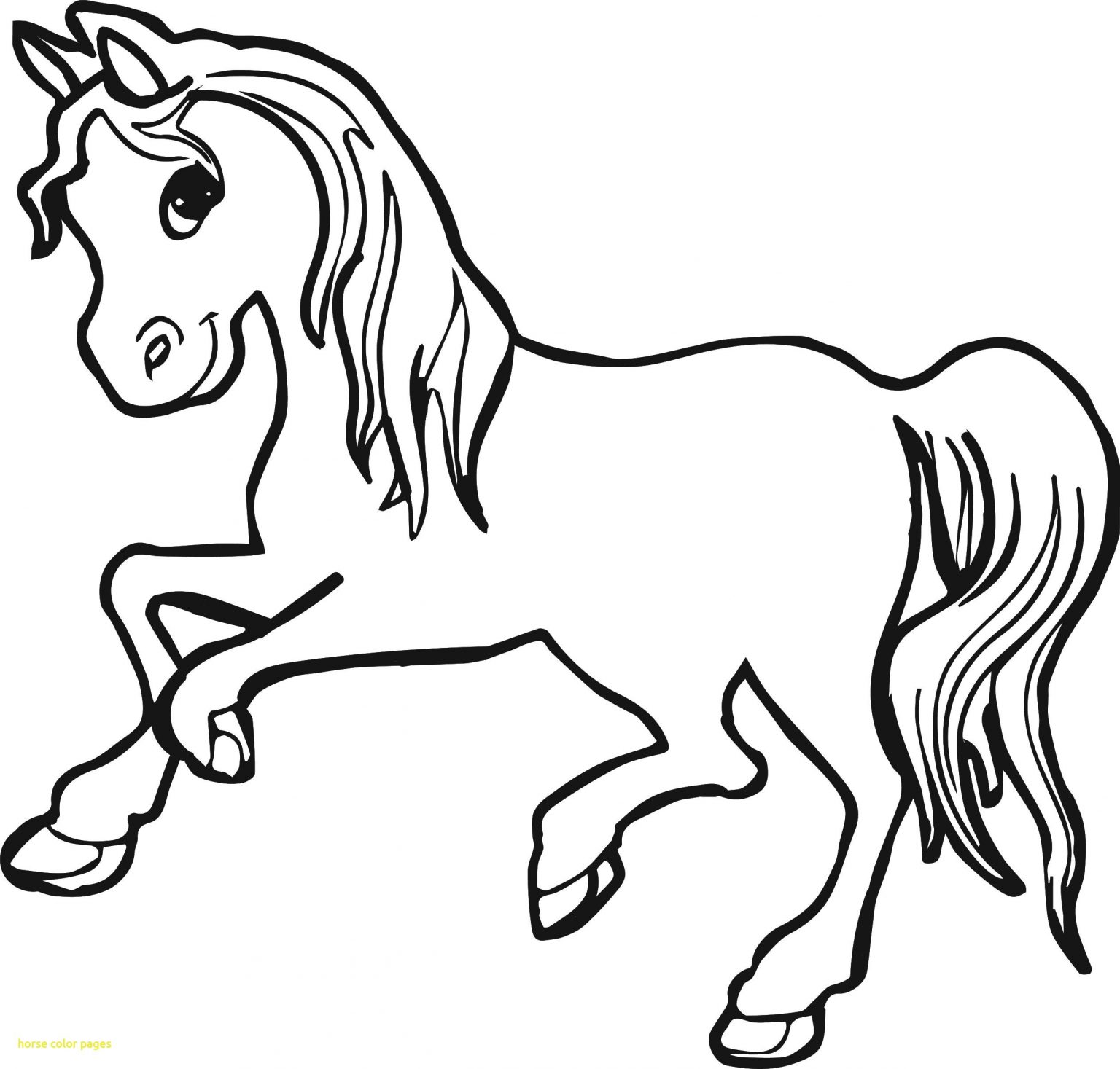 Horse Face Coloring Page - BubaKids.com