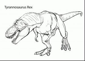 Group Of Dinosaurs Coloring Pages | BubaKids.com