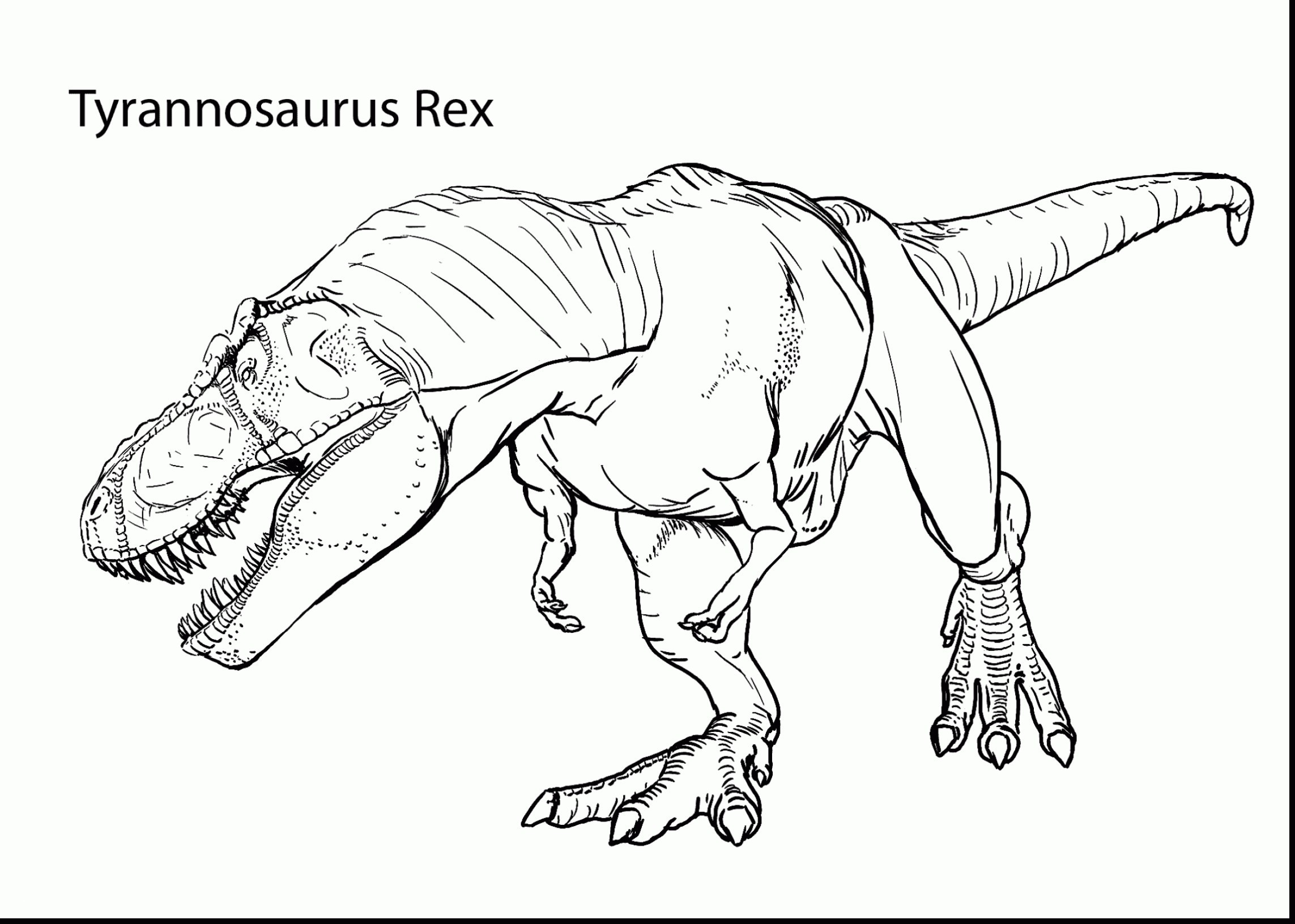 Jurassic Park T Rex Coloring Page