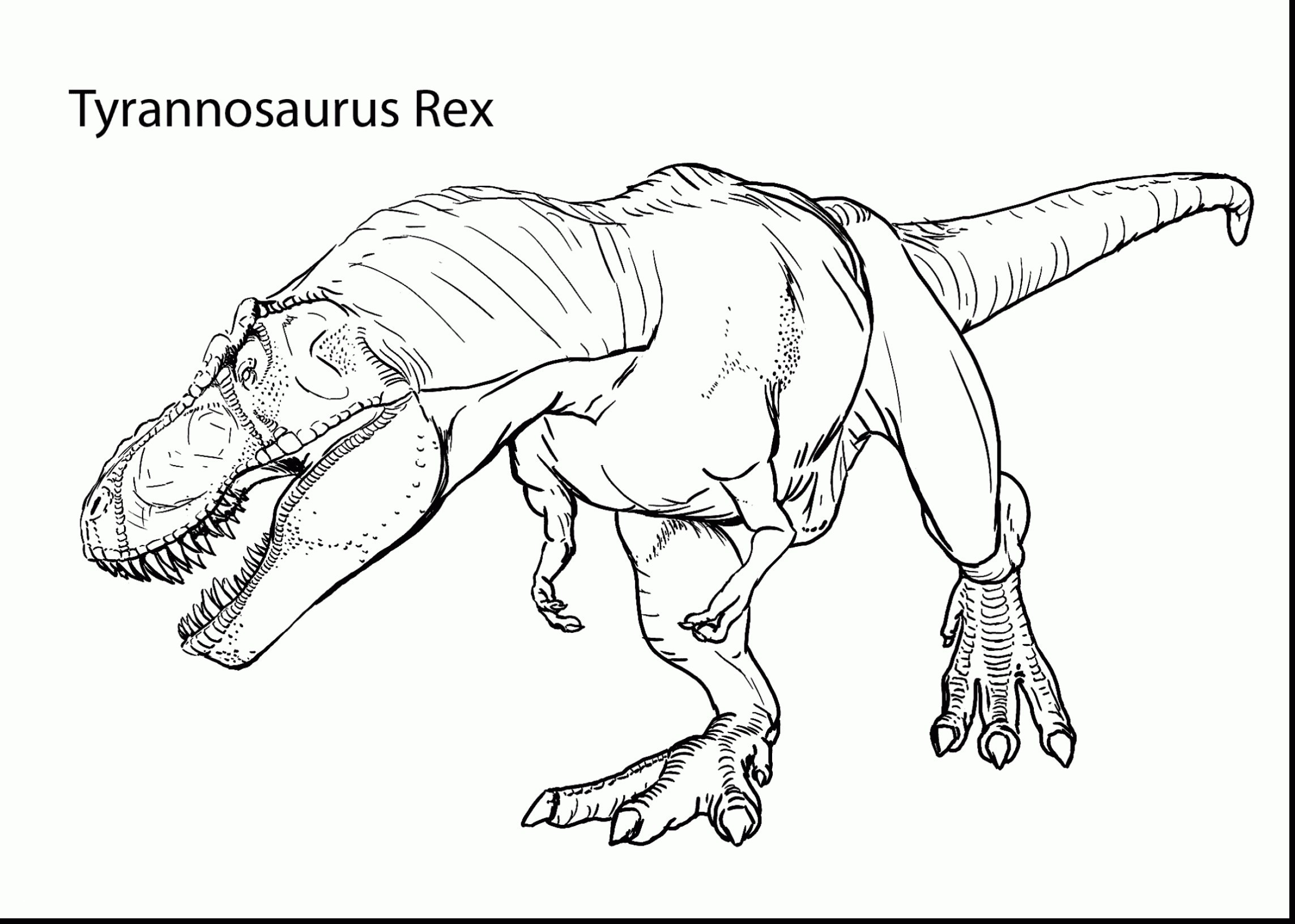Tyrannosaurus Rex Coloring Beautiful Tyrannosaurus Rex Coloring Sheet Free Coloring Library