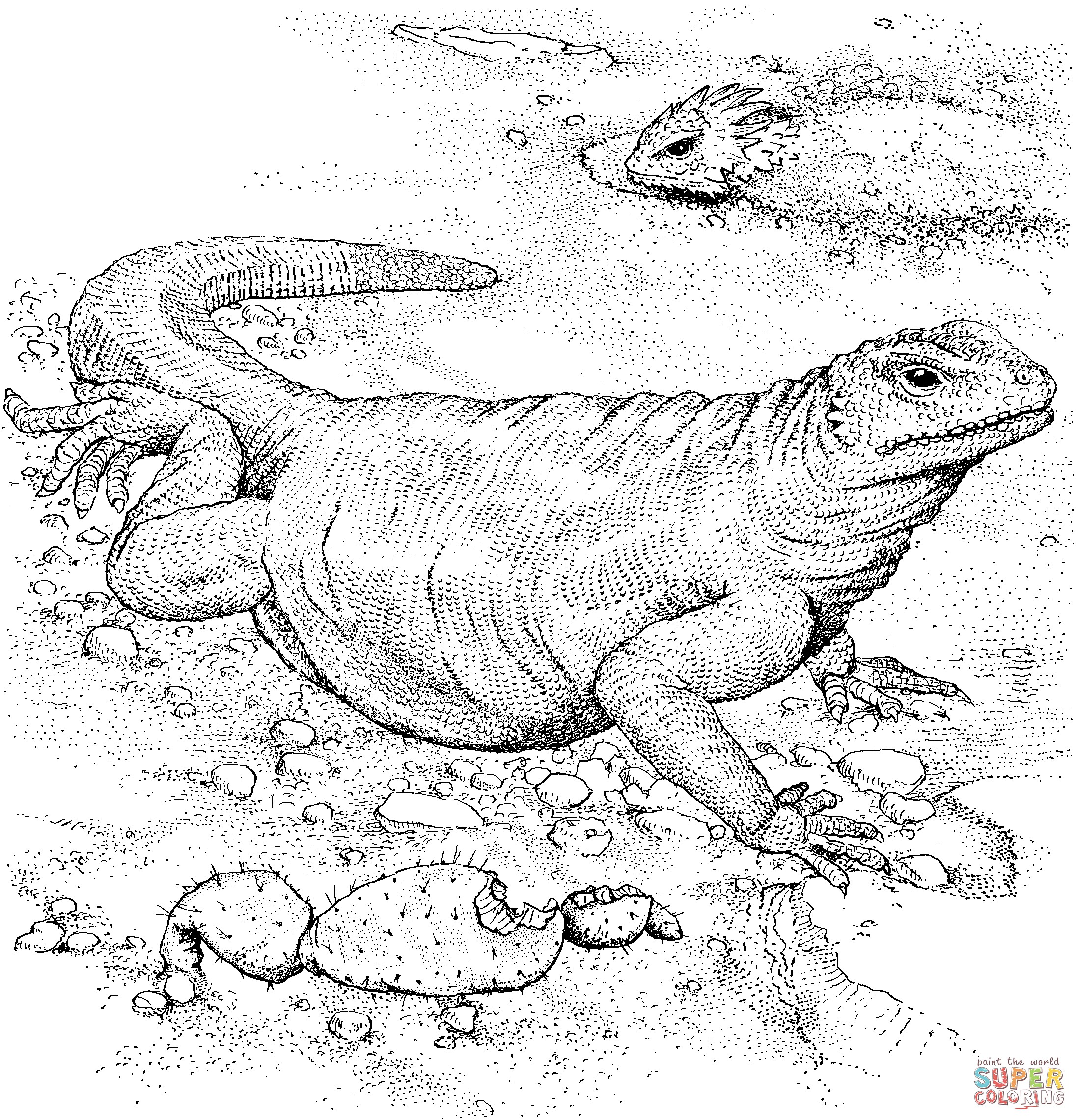 the Komodo Dragon coloring pages