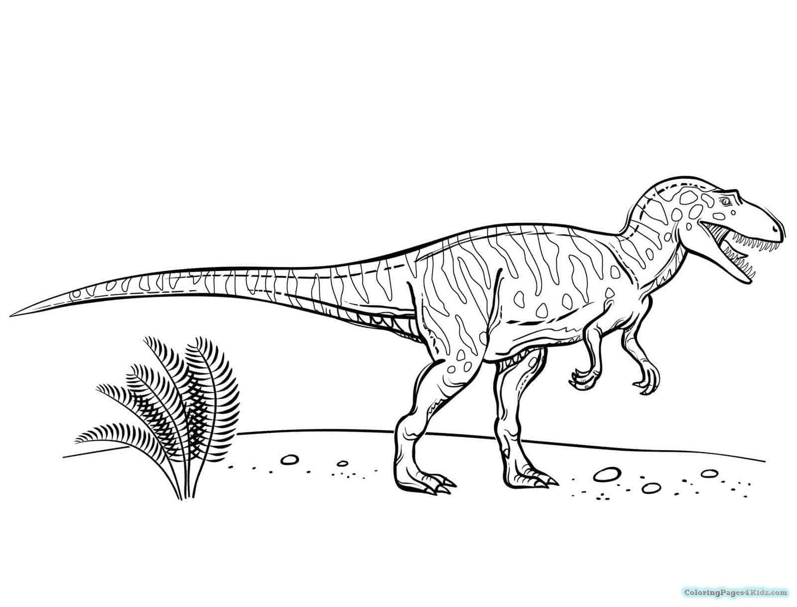 Meat Eating Dinosaurs Coloring Pages T Rex