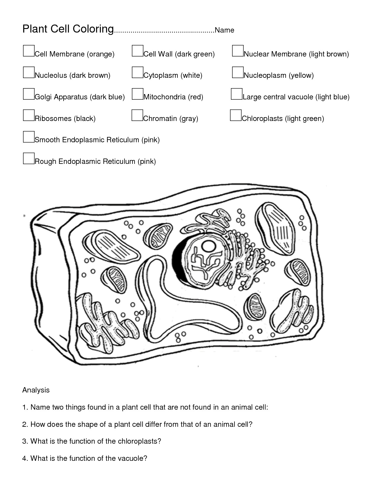Plant Cell Coloring Worksheet Becuo