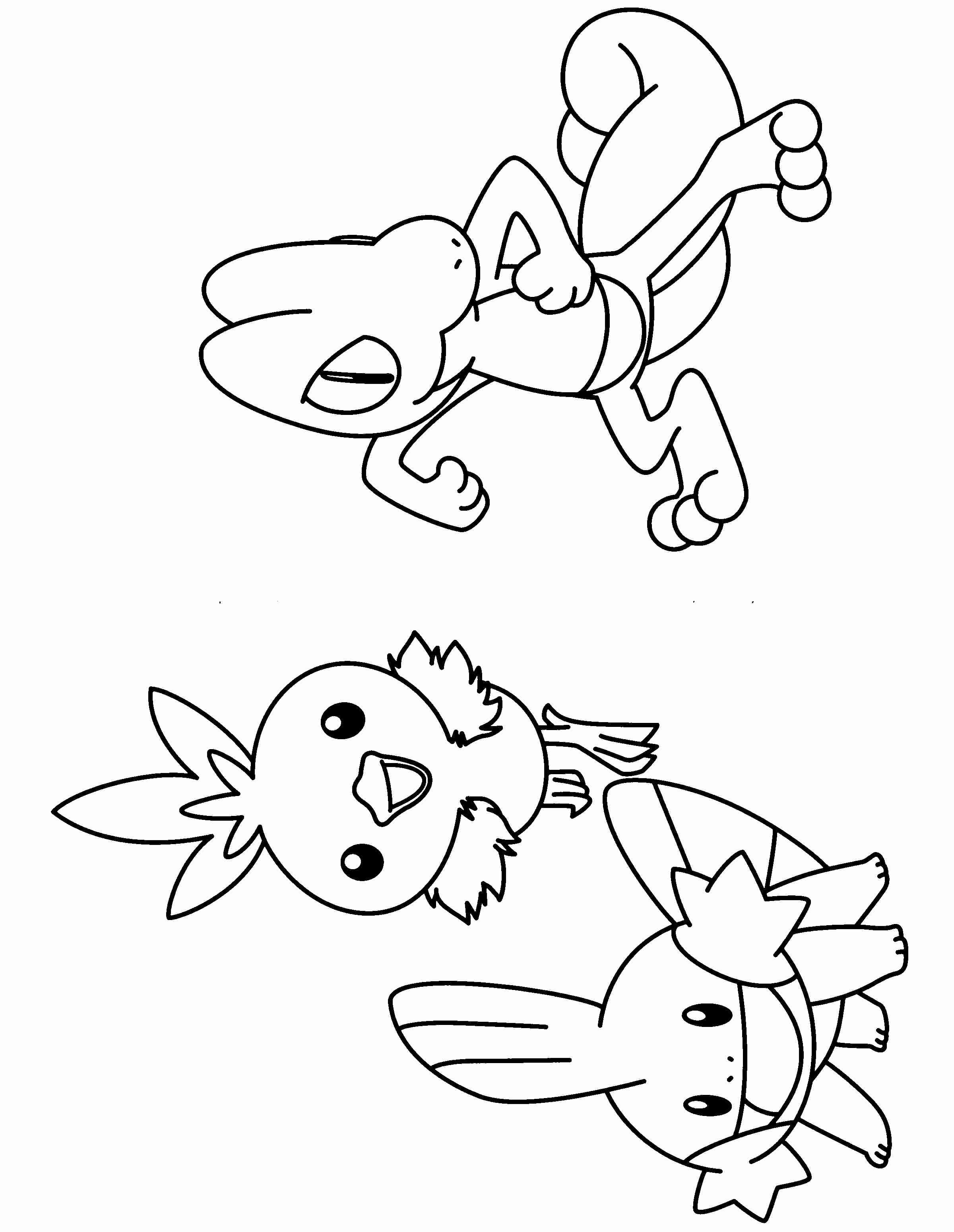 Coloring Page Tv Series Pokemon Advanced Pic s Lovely Mudkip Pages 11 Treecko