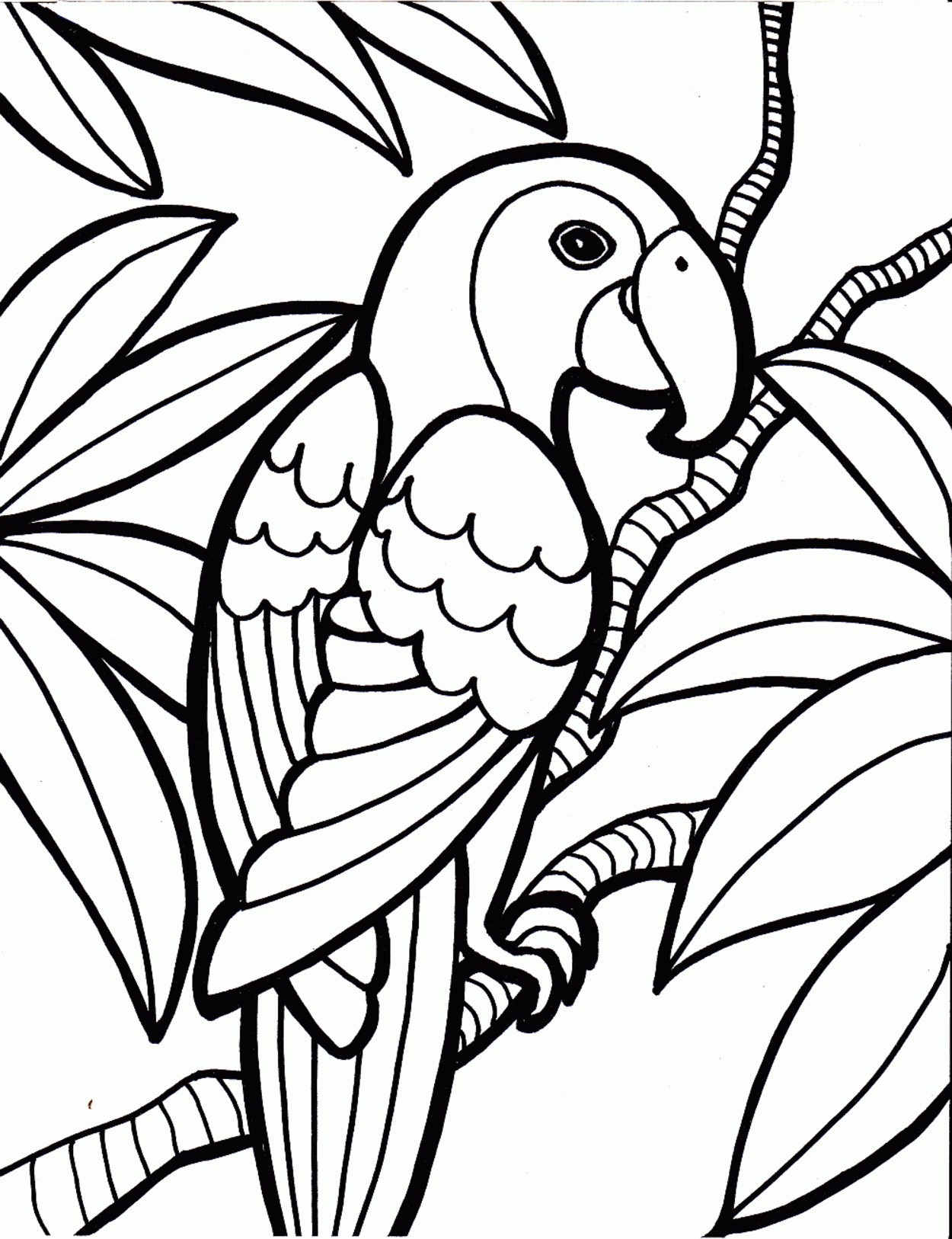 Crammed Bird Colouring In Coloring Picture Pages Robin Printable Tweety Bageriet Info