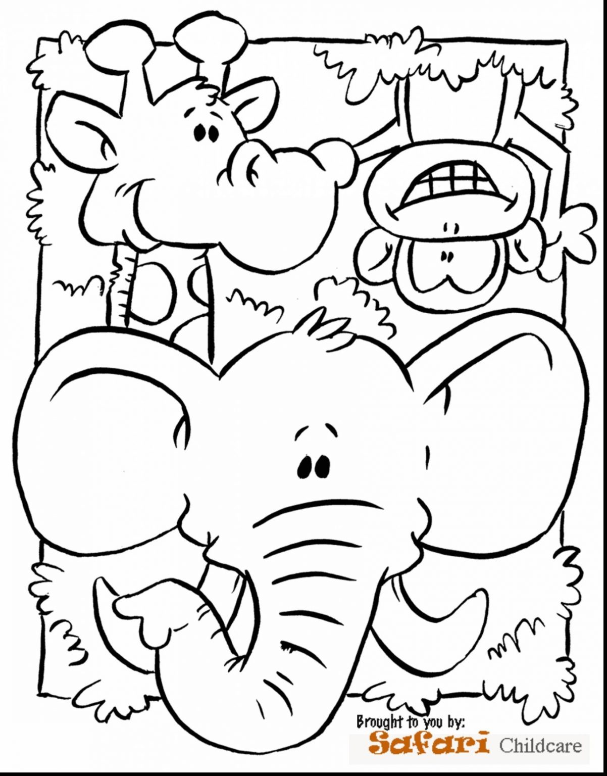 Rainforest Animal Coloring Sheets