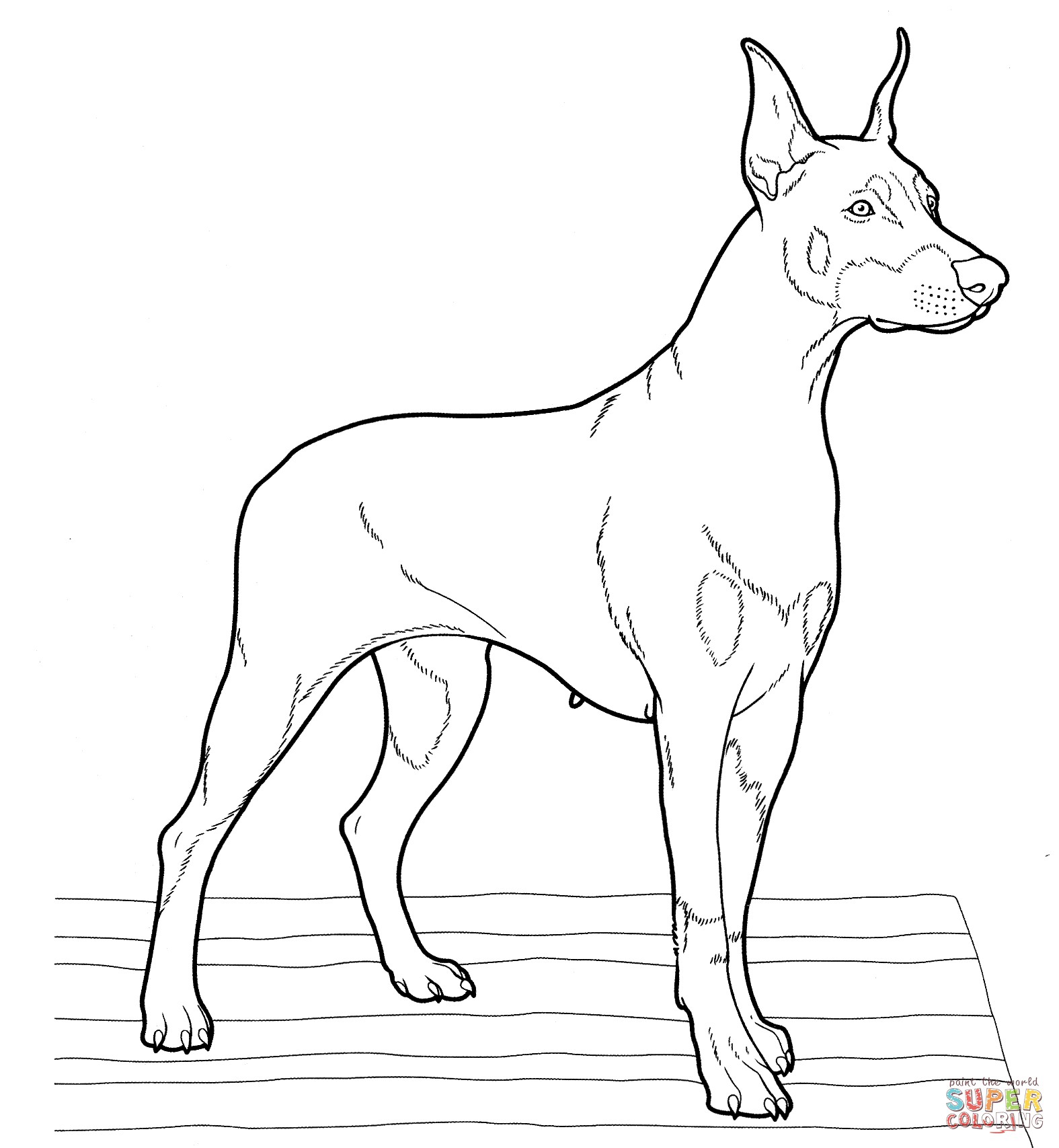 the Doberman coloring pages