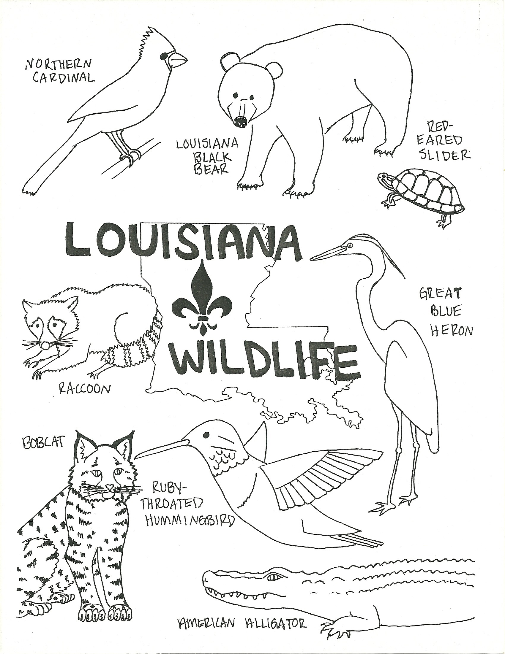 Louisiana Coloring Pages 10