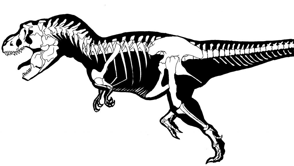 T Rex Fossil Coloring Page - BubaKids.com