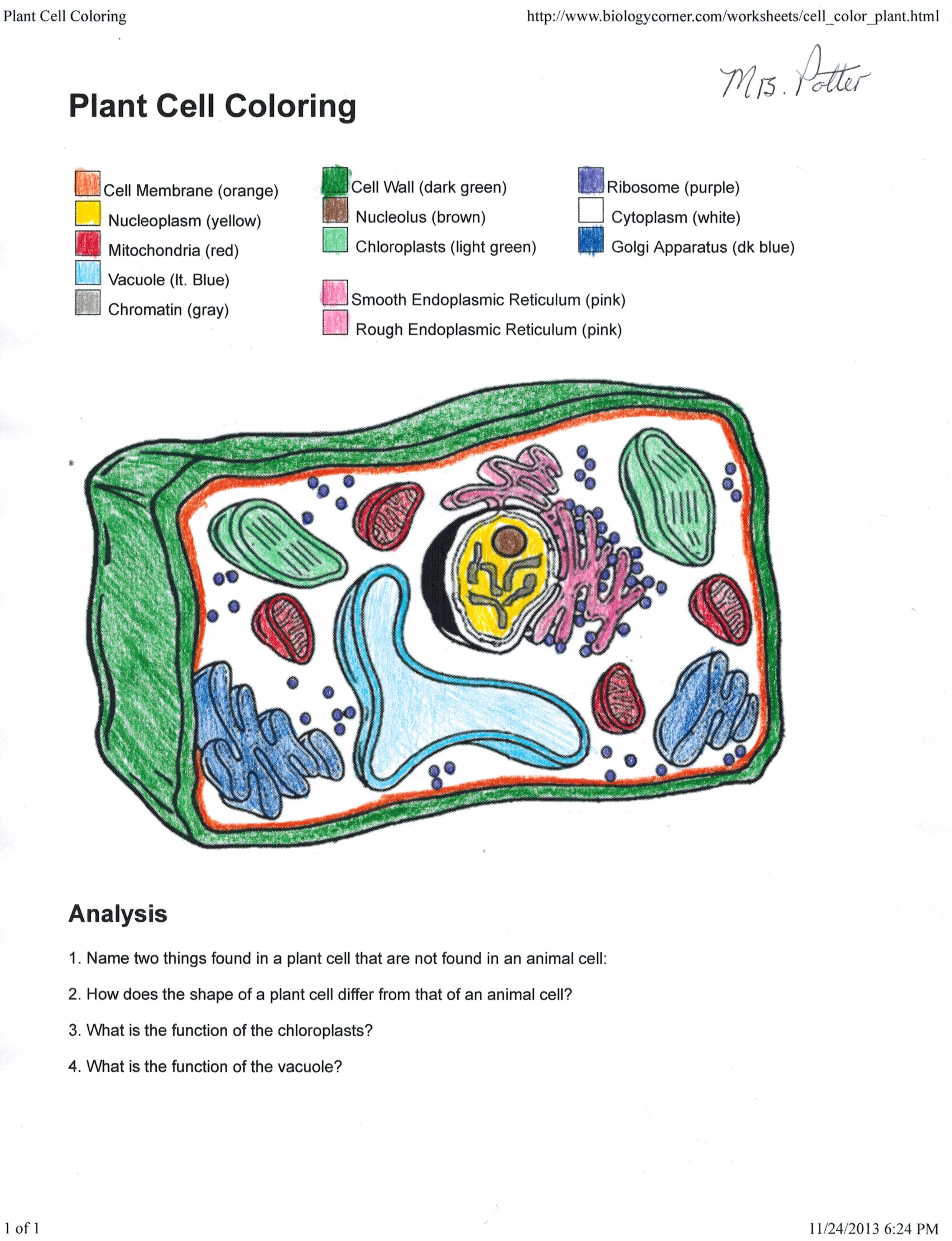 Plant Cell Coloring Page 1