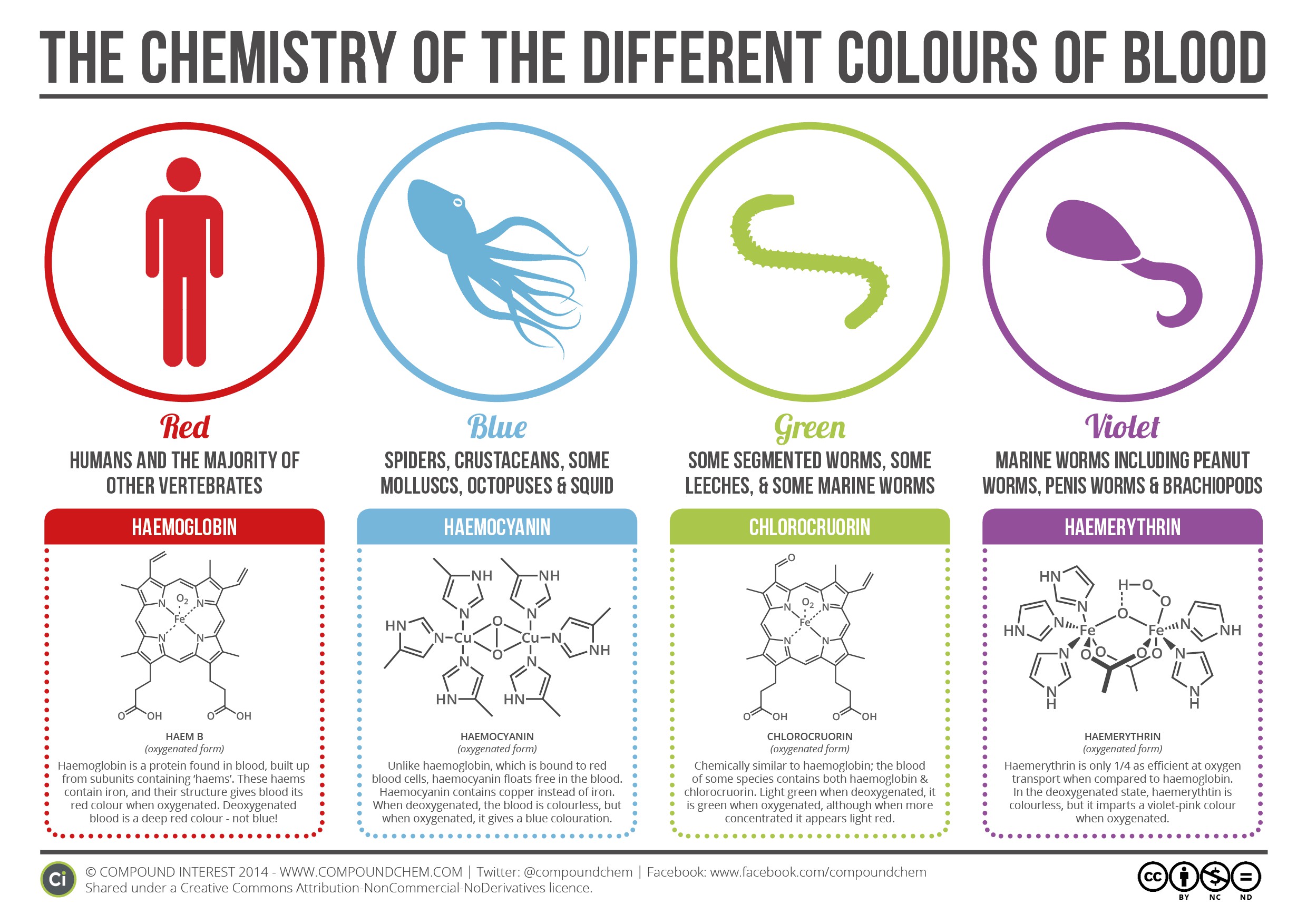 Learn about the chemistry behind the different colors of blood