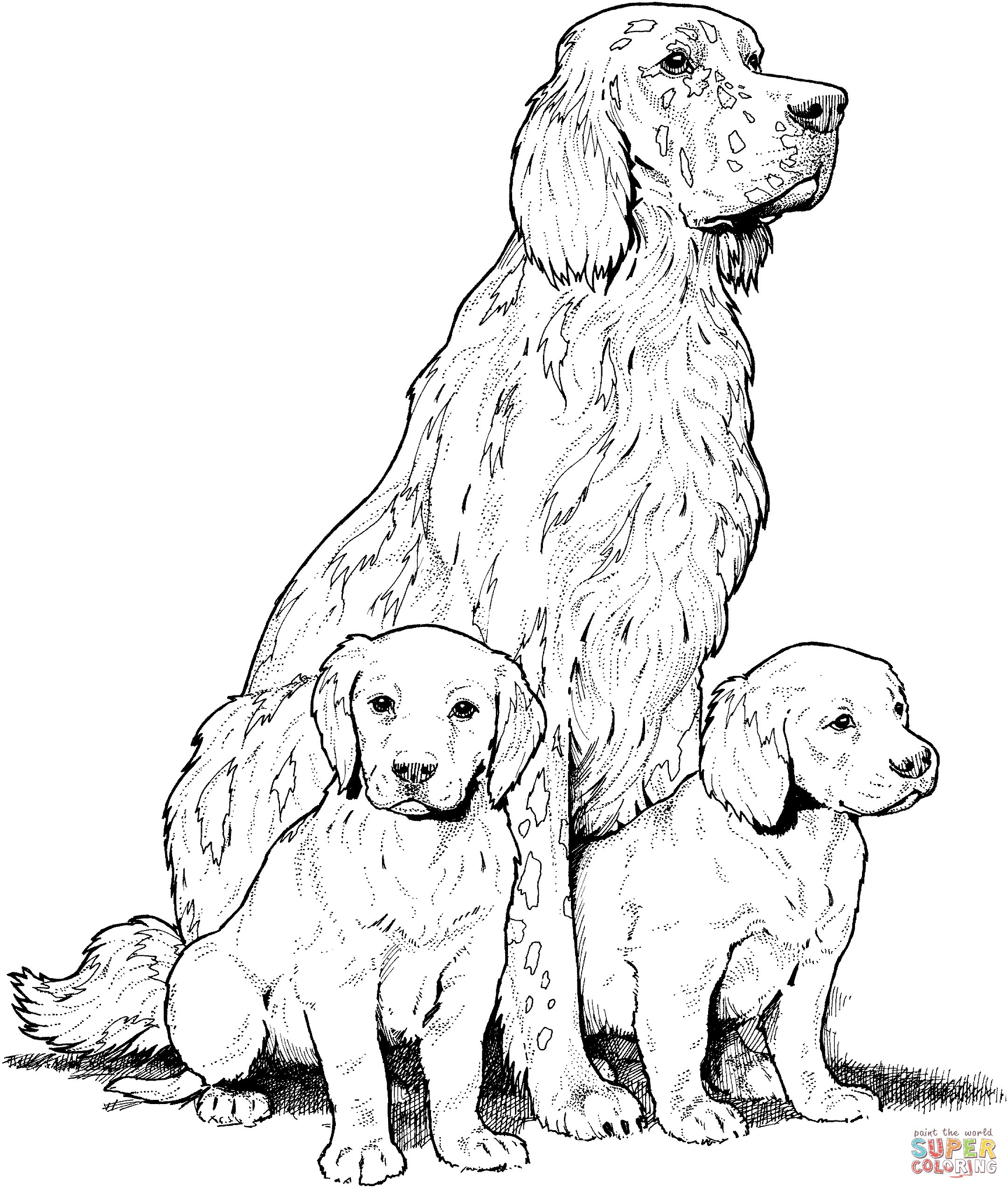 Labrador With Puppies Coloring Page 11 Lab Dog