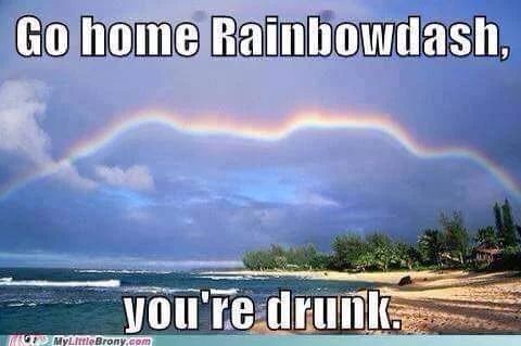 Funny My Little Pony Friendship is Magic Memes Rainbow Dash is Drunk MyLittl