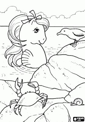 My little pony a seahorse on the shore with a gull a crab and a snail coloring
