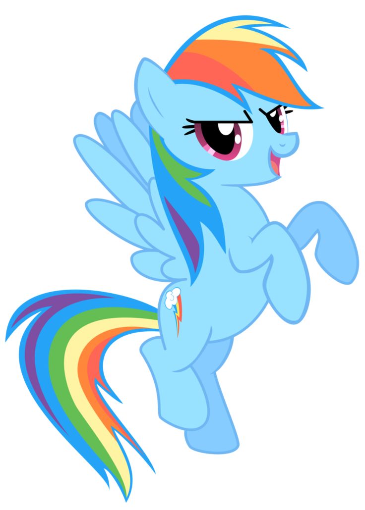 Rainbow Dash My Little Pony Fan Labor Wiki Fandom powered by Wikia