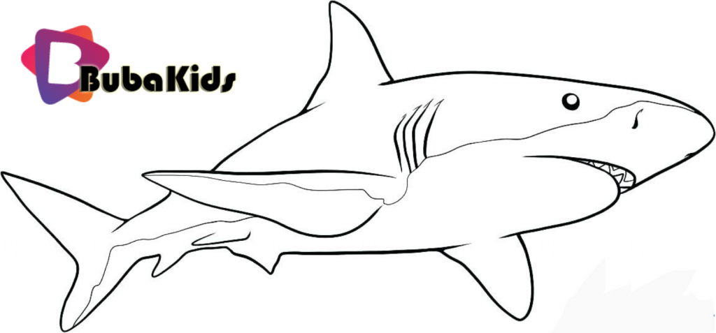 shark coloring pages bubakids