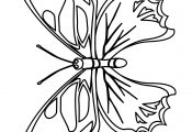 Bubakids Realistic Butterfly Coloring Page